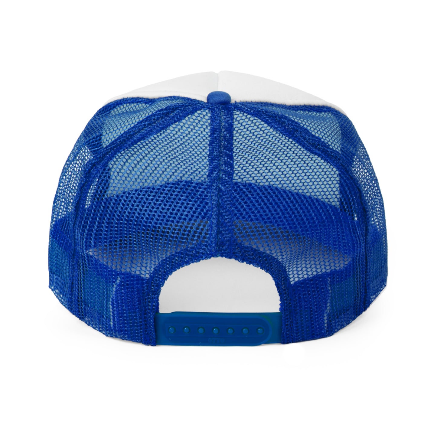 The Crazy Maine Coon Cat Moms Hall Of Fame Hat