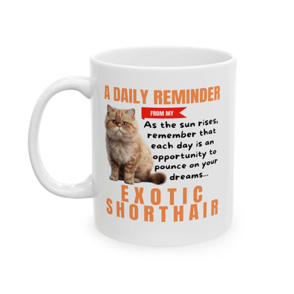 A Daily Reminder From My Exotic Shorthair Ceramic Mug, 11oz