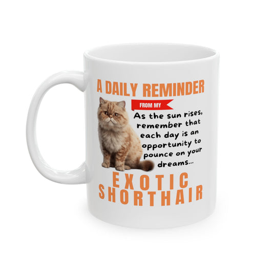 A Daily Reminder From My Exotic Shorthair Ceramic Mug, 11oz