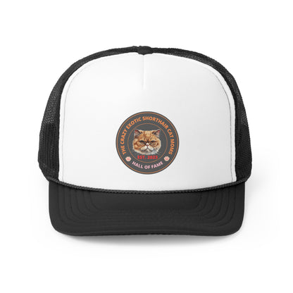The Crazy Exotic Shorthair Cat Moms Hall Of Fame Hat