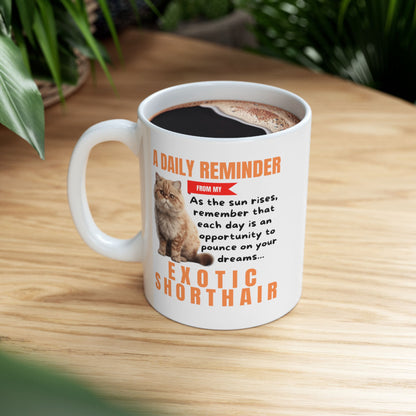 A Daily Reminder From My Exotic Shorthair Ceramic Mug, 11oz