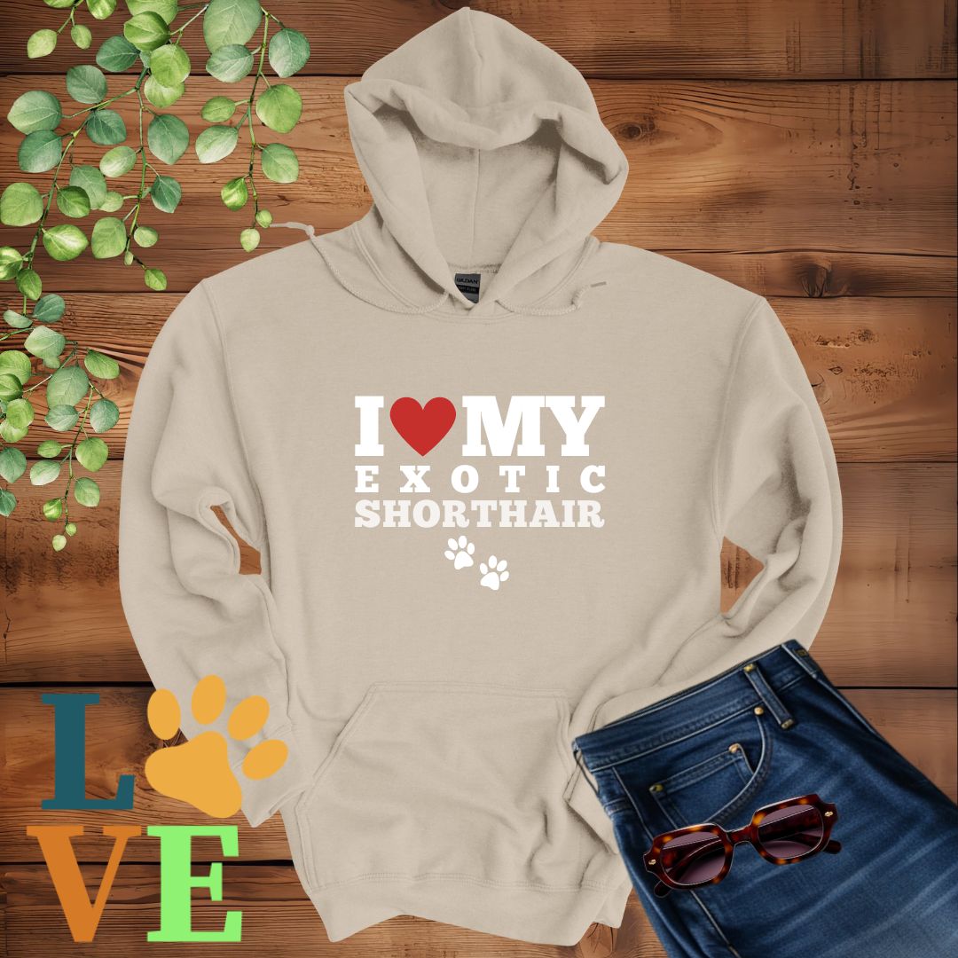 Exotic Shorthair Love Hoodie