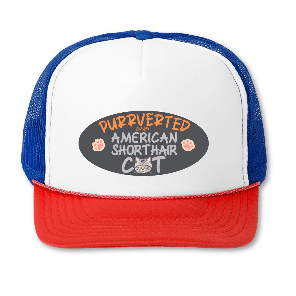 Purrverted By My American Shorthair Cat Hat
